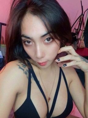 Thai ladyboys for dating / Ladyboys from Philippines for dating